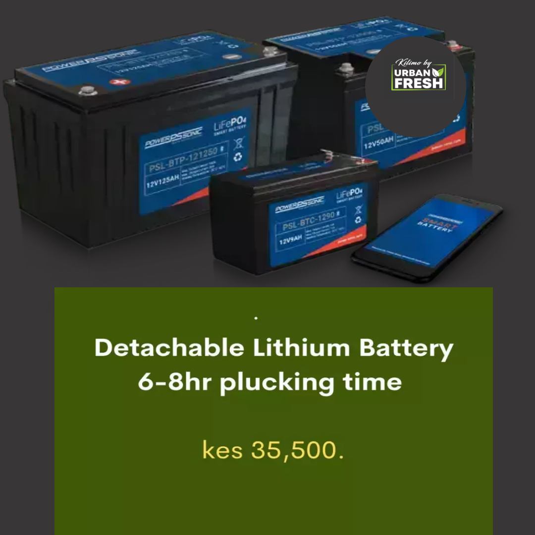 Buy Detachable Lithium Battery in Kenya Kilimo By Urban Fresh